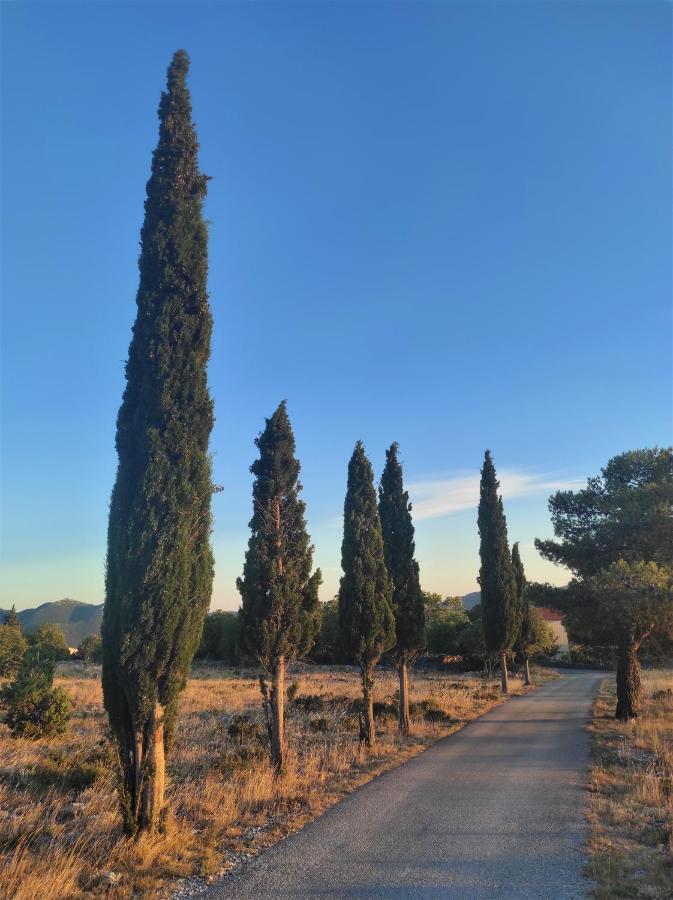 Sunset Chaser - Rural Dalmatian Mountain View - Makarska, Brela Šestanovac 외부 사진